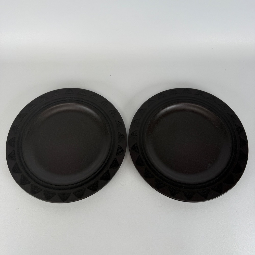 Pfaltzgraff Midnight Sun Brown Set of 2 Dinner Plates 10.5 inches‎ READ
